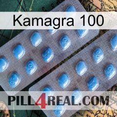 Kamagra 100 viagra4